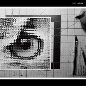 サカナクション☆レコード☆国内盤 sakanaction (180グラム重量盤レコード) : サカナクション | HMV&BOOKS