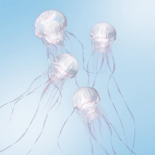 LUMINOUS(通常盤) ／ SCANDAL (CD)