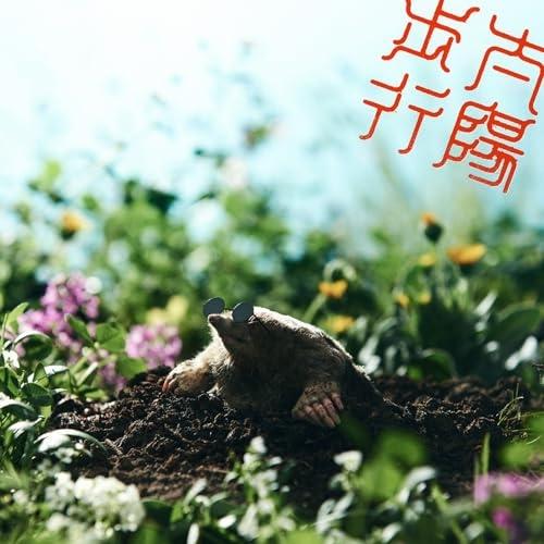 太陽歩行(初回限定盤)(DVD付) ／ ズーカラデル (CD)