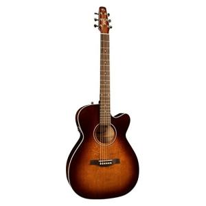 Seagull Entourage Rustic Mini Jumbo 【調整済】 : 伊藤楽器