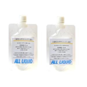 エポキシ樹脂 2液性エポキシレジン液 透明 400ml(A300ml,B100ml)