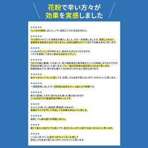 正規代理店 NOSK 鼻マスク 10枚 30日...の詳細画像3