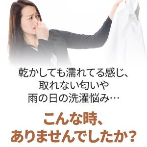 おうちランドリー 衣類乾燥機 一人暮らし 小型...の詳細画像3