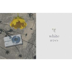 【BOOIE公式代理店】 Y2K デジタルカメ...の詳細画像5
