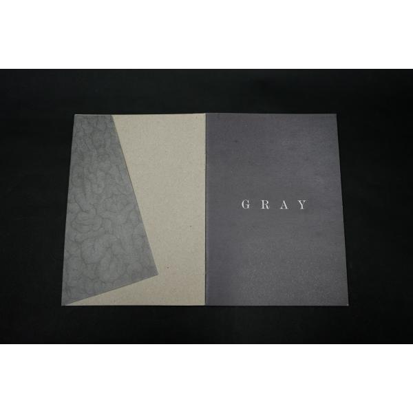 群/GUN 画集『GRAY』