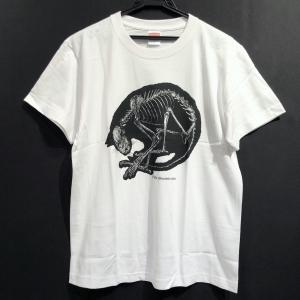 骨格Tシャツ 丸まり猫(色付き)｜vanilla-gallery