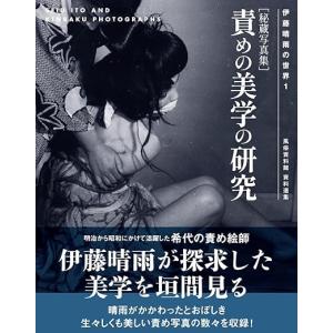 児雷也　THE ART OF JIRAIYA-児雷也の世界展　画集　カタログ 児雷也 THE ART OF JIRAIYA-児雷也の世界展 画集 カタログ