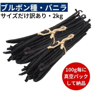 ブルボン種バニラビーンズ 2kg サイズだけ訳ありグレード 12cm以上