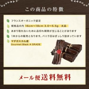 マダガスカル産 バニラビーンズ 【500g/1...の詳細画像3