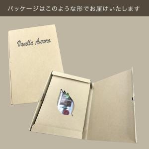 マダガスカル産 バニラビーンズ 【500g/1...の詳細画像4