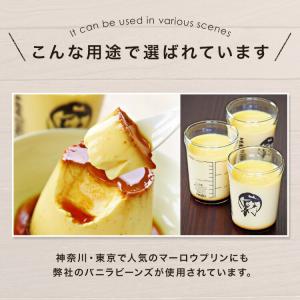 マダガスカル産 バニラビーンズ 【500g/1...の詳細画像5