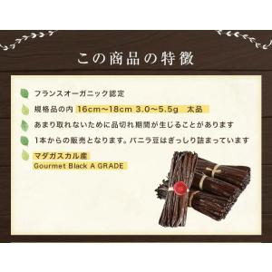 マダガスカル産 バニラビーンズ オーガニックE...の詳細画像1