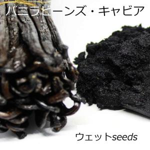 バニラビーンズ 【12g】 キャビア マダガスカル産 オーガニックECOCERT Aグレード グルメ ブラック 粉砕 ブルボン エッセンス業務用バニラの商品画像