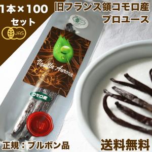 バニラビーンズ オーガニックコモロ産 1本入×100個セット 有機JAS バニラ