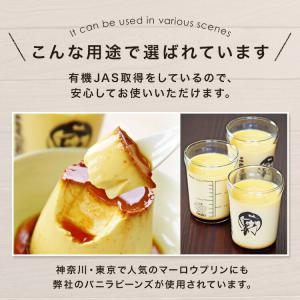 バニラビーンズ オーガニックコモロ産 5本入×...の詳細画像2