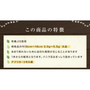 バニラビーンズ オーガニックコモロ産 100g...の詳細画像1