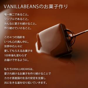 チョコレート ギフト バニラビーンズ 公式 シ...の詳細画像5