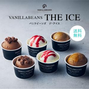 VANILLABEANS THE ICE (送料無料) [9/27着迄] (注文受付9/22 9:59迄)　チョコ アイス 夏ギフト お中元