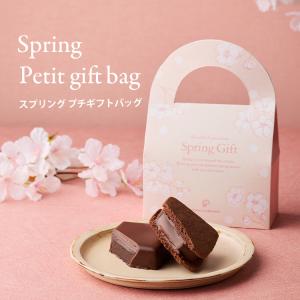 スプリング プチギフトバッグ2個入 [3/23着迄] バニラビーンズ 公式 チョコ チョコレート スイーツ お菓子 プレゼント ギフト ホワイトデー