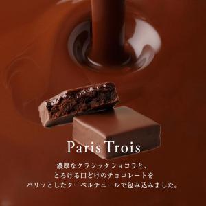 ショーコラ&パリトロ16個入 バニラビーンズ ...の詳細画像2