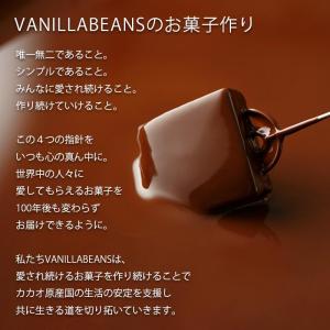 ショーコラ&パリトロ8個入(送料込) バニラビ...の詳細画像3