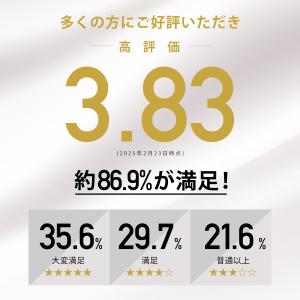 ゲルクッション 極厚 特大 二重 ハニカム構造...の詳細画像3