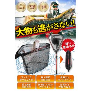 ランディングネット 玉網 ラバー 渓流 折りた...の詳細画像4
