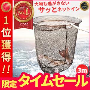 ランディングネット 玉網 たも網 ラバー 渓流 折りたたみ 青物 フィッシング 釣り シャフト 網 三角 伸縮 アルミ製  釣り具 3.0m