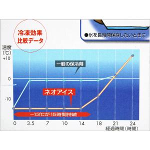 世界初 保冷剤 -13℃が何と15時間持続 ホ...の詳細画像2