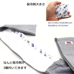 EDWIN クールネックタオル 保冷剤3個付き...の詳細画像2