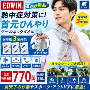 EDWIN クールネックタオル 保冷剤3個付き...の詳細画像4