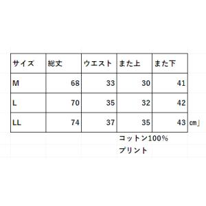 ステテコ アニマル柄 メンズ かわいい パンツ...の詳細画像4