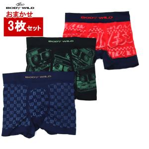 日本製 3D成型 ボクサーパンツ 福袋 3枚セット グンゼ  前とじ メンズ ボクサーパンツ BODY WILD 福袋 色柄おまかせ 3枚組