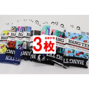 HANG TEN (ハンテン) ボクサーパンツ ...の商品画像
