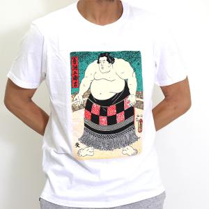 おもしろTシャツ DOSUKOI どすこい メンズ レディース キッズ 相撲T