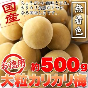 カリカリ梅 国産 豊後梅 白梅 無着色 500g 送料無料 即日発送