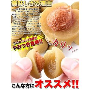 カリカリ梅 国産 豊後梅 白梅 無着色 500...の詳細画像3