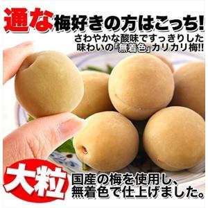 カリカリ梅 国産 豊後梅 白梅 無着色 500...の詳細画像4