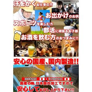 カリカリ梅 国産 豊後梅 白梅 無着色 500...の詳細画像5