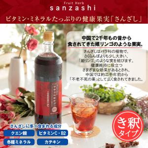 さんざし フルーツハーブ サンザシドリンク 9...の詳細画像2