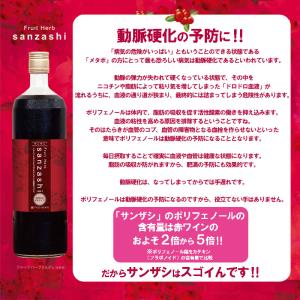 さんざし フルーツハーブ サンザシドリンク 9...の詳細画像4