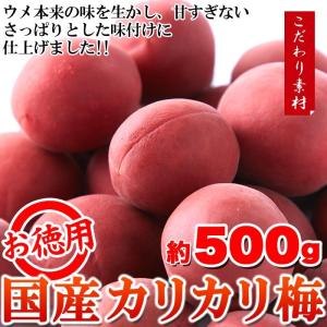 カリカリ梅 かりんこ梅 国産 群馬県産 赤梅 500g 業務用 大容量 駄菓子 おつまみ 送料無料