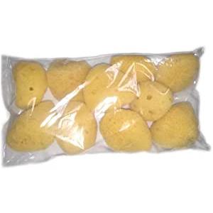 天然海綿シルク 海綿スポンジ サイズ5（約5cm）1袋10個入り