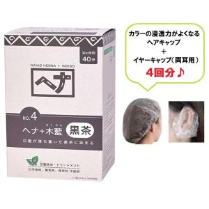 白髪染め ヘアカラー ナイアード ヘナ黒茶 (No.4) 400g 毛染め カラー剤 カラーリング ヘアキャップ イヤーキャップ 4回分プレゼント