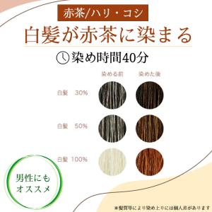 白髪染め ヘアカラー ヘナ100% (400g...の詳細画像2
