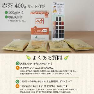 白髪染め ヘアカラー ヘナ100% (400g...の詳細画像4