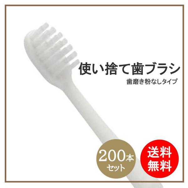 業務用 使い捨て歯ブラシ ハミガキ粉無し 200本入り 清掃用 掃除用 ハブラシ