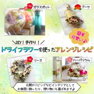 シリカゲル ドライフラワー用 乾燥剤 1kg ...の詳細画像3