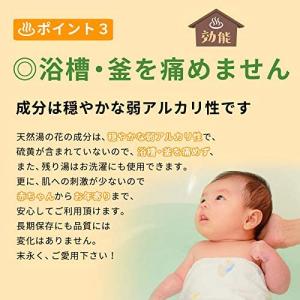 天然 湯の花 入浴剤 250g 2袋 徳用袋 ...の詳細画像5