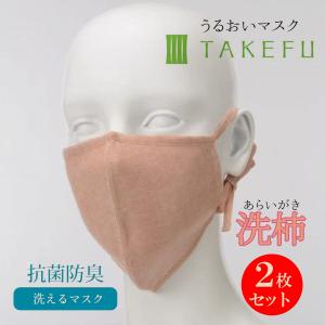 竹布 マスク TAKEFU うるおいマスク 布マスク 洗柿 あらいがき 2枚セット